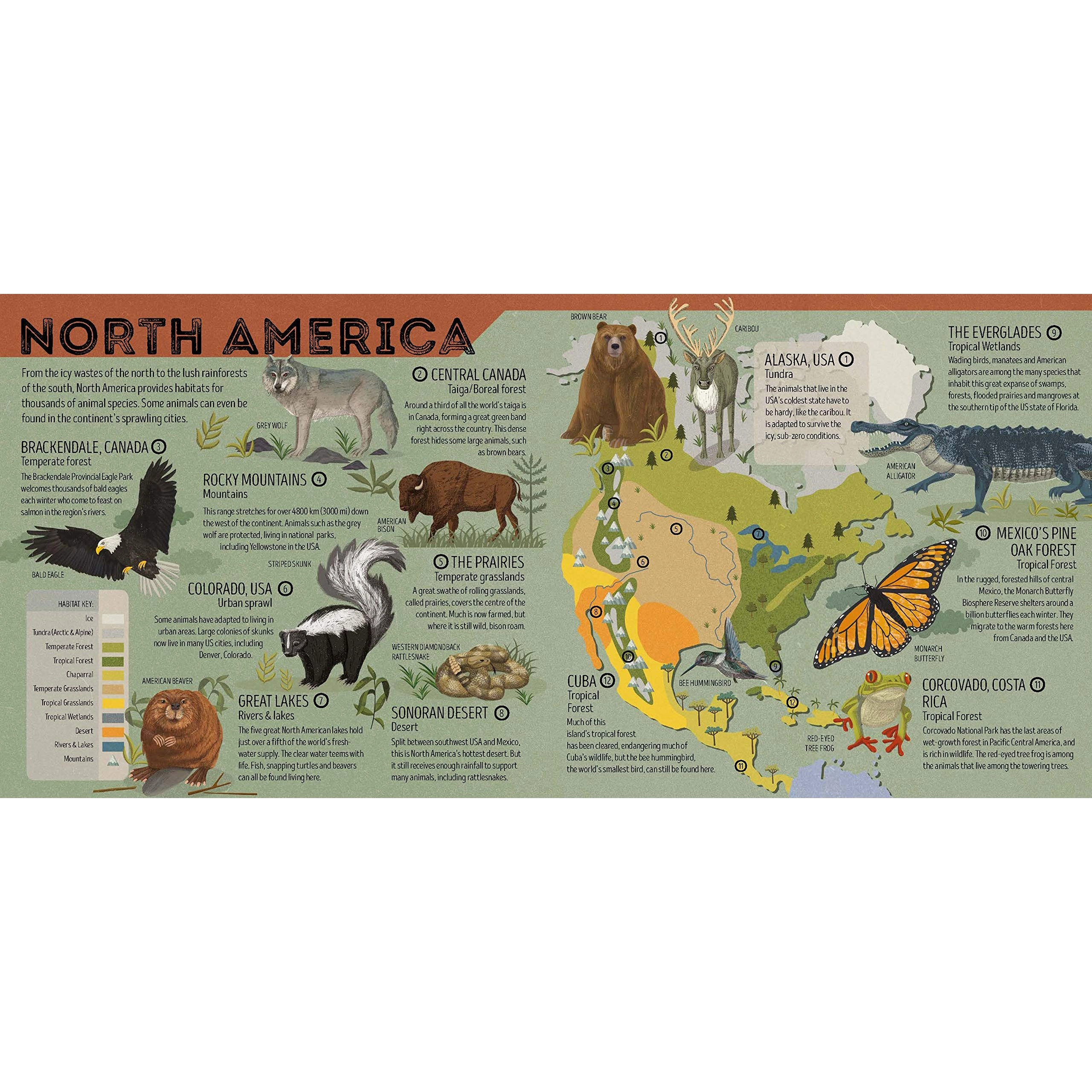 Animal Atlas