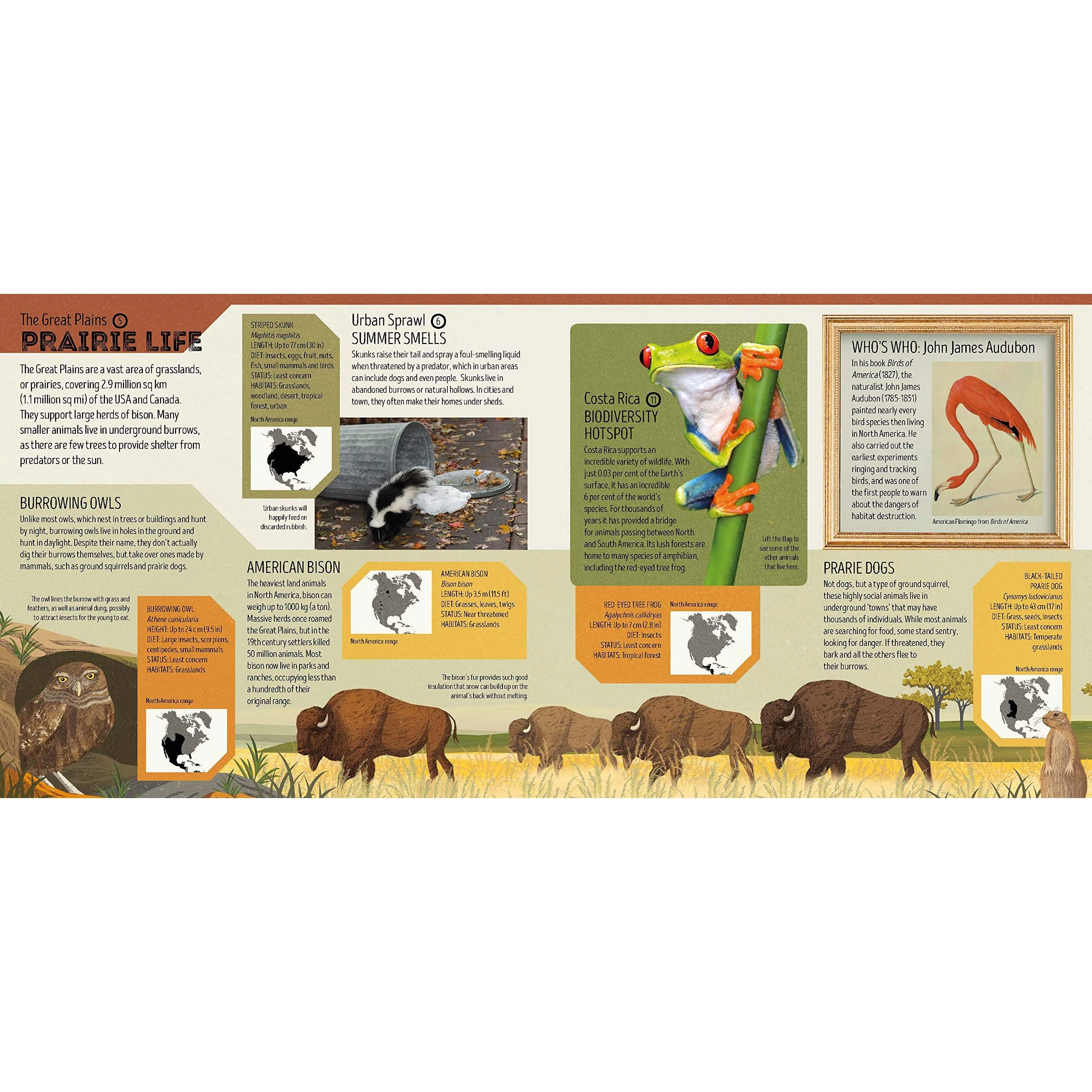 Animal Atlas