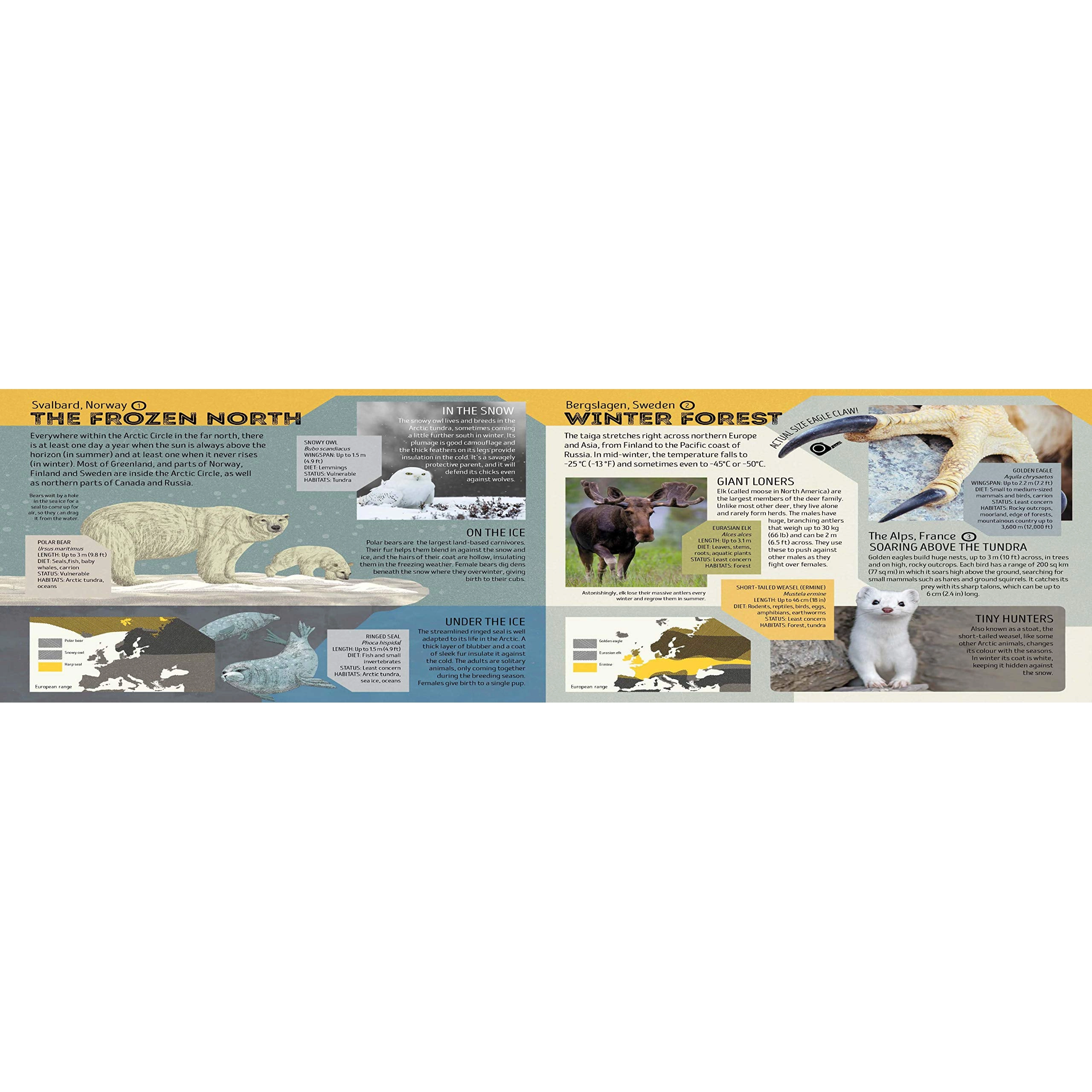 Animal Atlas