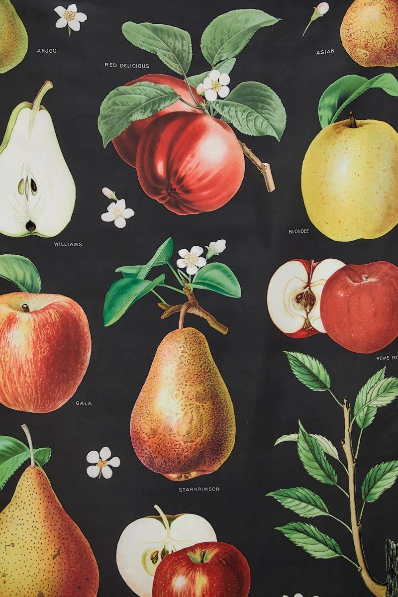Print Apple Vintage Wall Tapestry 70Cm By 100Cm